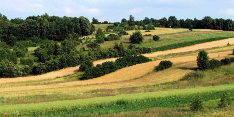 Bogata oferta, ale promocja kuleje. Branża turystyczna debatowała w Szczebrzeszynie 1 EAttachments9451351a6a3ef6d214b19e3830a7429abca23d5 xl