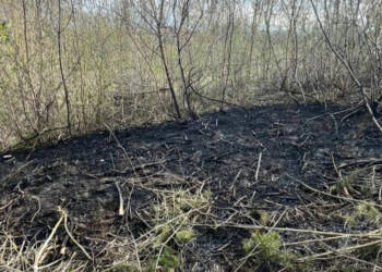 EAttachments9452968b2ca0b848d26b22e8222ed4db814f109 xl 1024x576 1