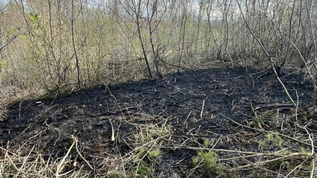 EAttachments9452968b2ca0b848d26b22e8222ed4db814f109 xl