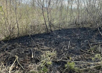 EAttachments9452968b2ca0b848d26b22e8222ed4db814f109 xl