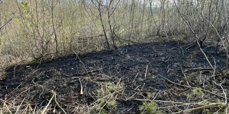 EAttachments9452968b2ca0b848d26b22e8222ed4db814f109 xl