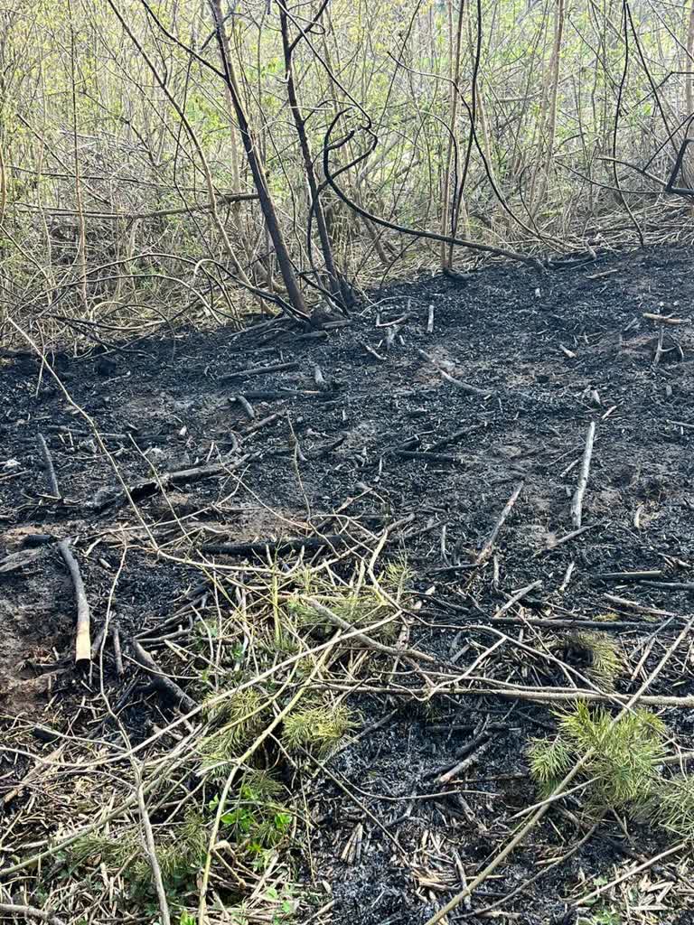 Na własnej posesji nie można wszystkiego! 49-latek w rękach policji 2 346-288556.jpg