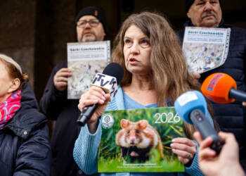 EAttachments9453942400f1f9a6a1b08cdcaf45b020dee8549 xl