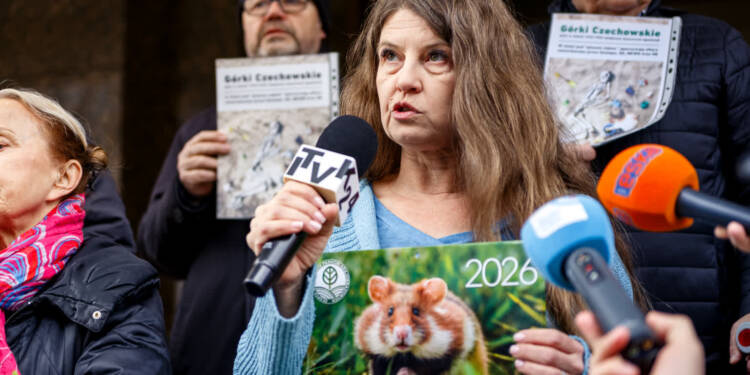 EAttachments9453942400f1f9a6a1b08cdcaf45b020dee8549 xl