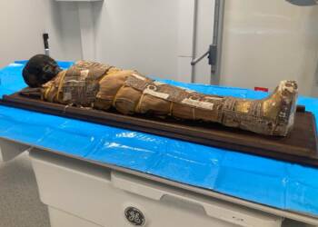 EAttachments945414410eccd7af80196d81f1740f1ea89239b xl