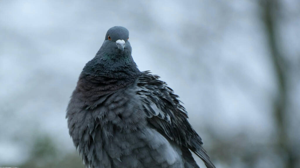 EAttachments94542491e7a566d2ddc4cf436b5ea446e8499a3 xl