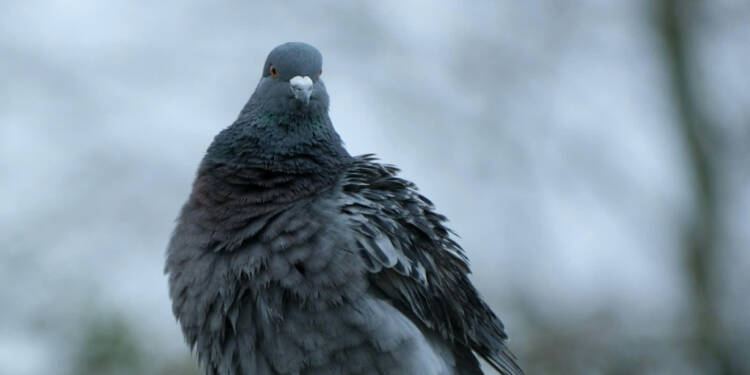 EAttachments94542491e7a566d2ddc4cf436b5ea446e8499a3 xl