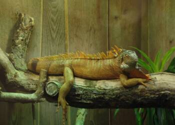 EAttachments945507755380efdfbcf85cdbe76eb2cf73d350c xl