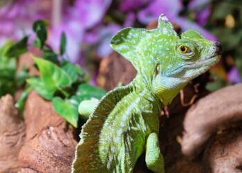 EAttachments9457544d6e3e4d457ad6a4e76bbf949fb165af6 xl