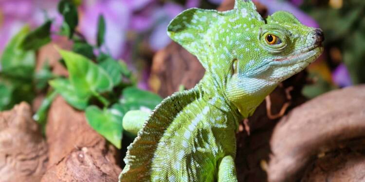 EAttachments9457544d6e3e4d457ad6a4e76bbf949fb165af6 xl