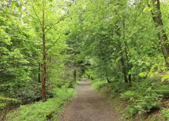 EAttachments9457613005adfc3b4daae846138a5eb5b0404c3 xl