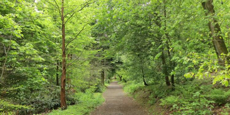 EAttachments9457613005adfc3b4daae846138a5eb5b0404c3 xl