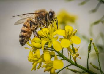 EAttachments94581456b4c6d4bca976dd4d824afa2f6dd108d xl