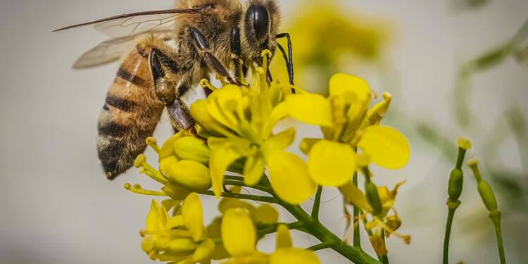 EAttachments94581456b4c6d4bca976dd4d824afa2f6dd108d xl