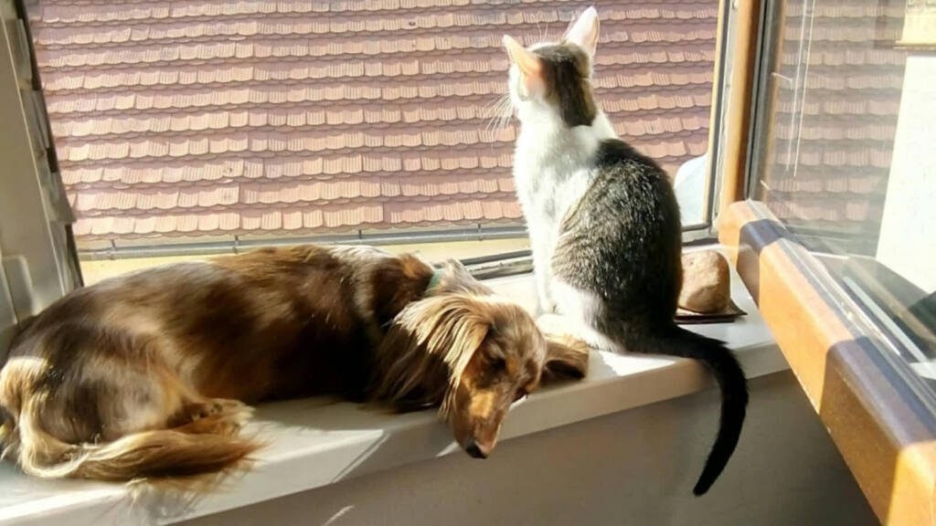 EAttachments9458738c3b3e72f7f5a4b6948aa8078e35b6f5a xl