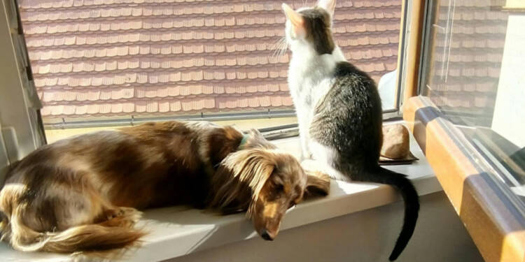 EAttachments9458738c3b3e72f7f5a4b6948aa8078e35b6f5a xl