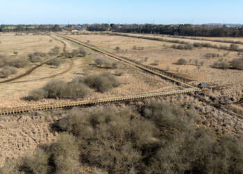 EAttachments9459821cac03d6f3cb68445a2839e6622f51089 xl 1024x575 1