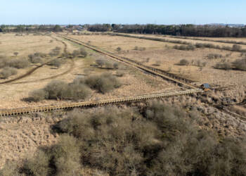 EAttachments9459821cac03d6f3cb68445a2839e6622f51089 xl