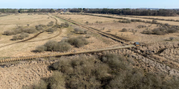 EAttachments9459821cac03d6f3cb68445a2839e6622f51089 xl