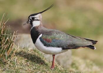 EAttachments94598502fb3141456244996575dbb60c1810c26 xl