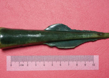 EAttachments9459942f2ea156fd2488b4e4362a05ee2d6b801 xl