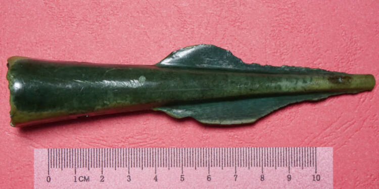 EAttachments9459942f2ea156fd2488b4e4362a05ee2d6b801 xl