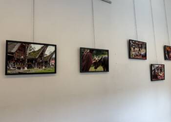 EAttachments9460250d61aa34e579b715f9acd11421ab1eaf9 xl