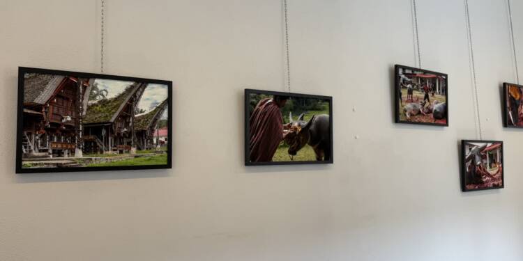 EAttachments9460250d61aa34e579b715f9acd11421ab1eaf9 xl