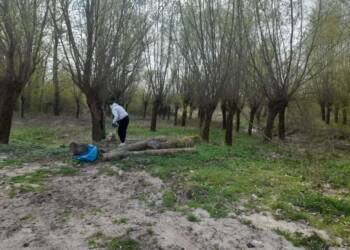 EAttachments9460251d8d84275e68f71e4e848b3c1a6d4a05a xl 1024x768 1