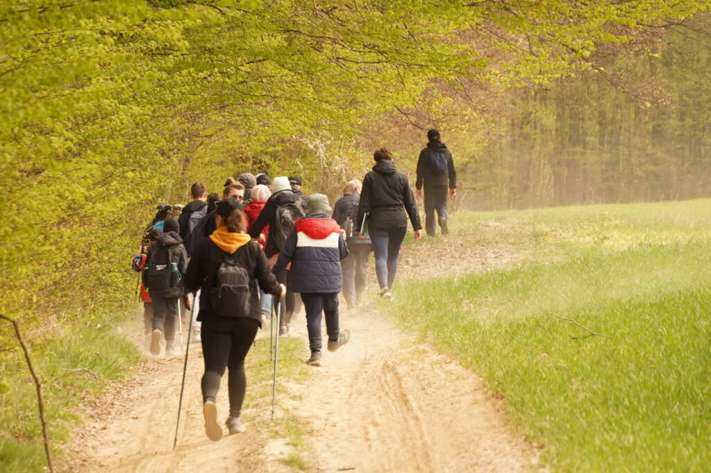 EAttachments946070220d6834d103ce38c5d04c5fb6c3c01fc xl