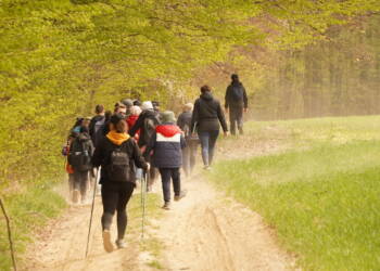 EAttachments946070220d6834d103ce38c5d04c5fb6c3c01fc xl