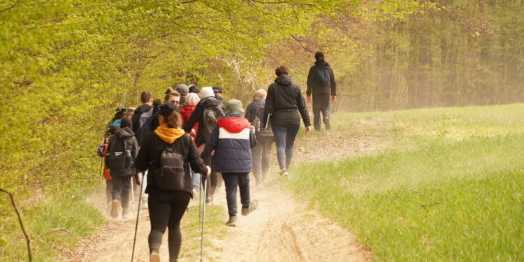 EAttachments946070220d6834d103ce38c5d04c5fb6c3c01fc xl