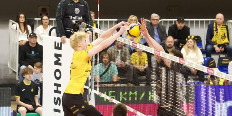 EAttachments94608237e112ec2e6f725946a2309a973547d76 xl