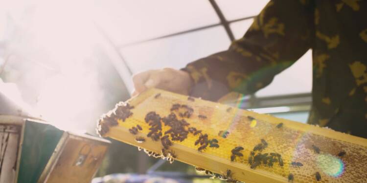 EAttachments9461396a52188cc1f11e6f268b88f425c0f2b36 xl