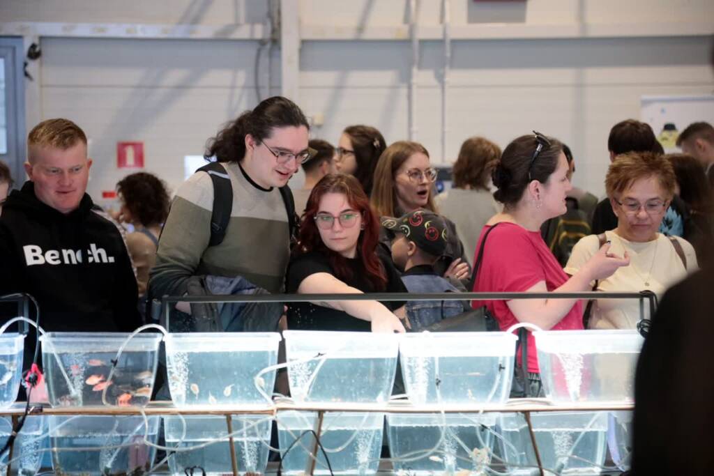 EAttachments94616744a47604b39b9c39af9dc1e3debc59430 xl