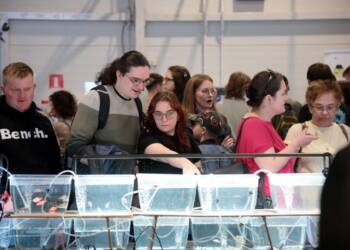 EAttachments94616744a47604b39b9c39af9dc1e3debc59430 xl