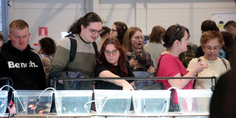 EAttachments94616744a47604b39b9c39af9dc1e3debc59430 xl