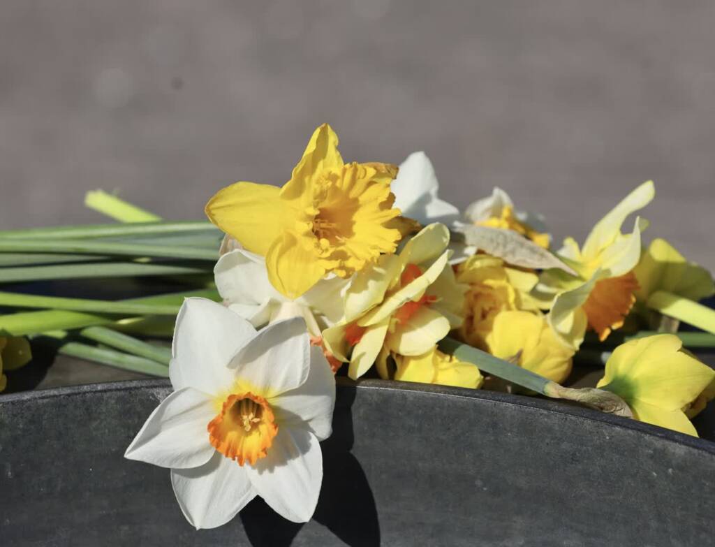 EAttachments946191501d8bbfe650175847525c8f45a6b1f03 xl