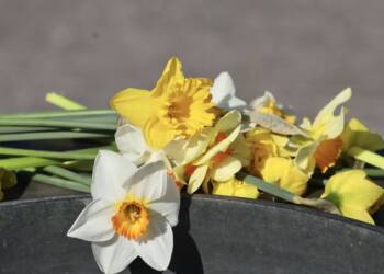 EAttachments946191501d8bbfe650175847525c8f45a6b1f03 xl