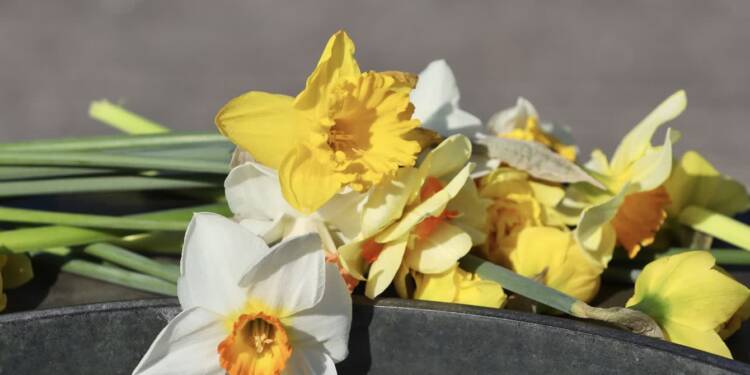 EAttachments946191501d8bbfe650175847525c8f45a6b1f03 xl