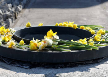 EAttachments94619152d87c83d2ed9e778caeae9c185db873b xl