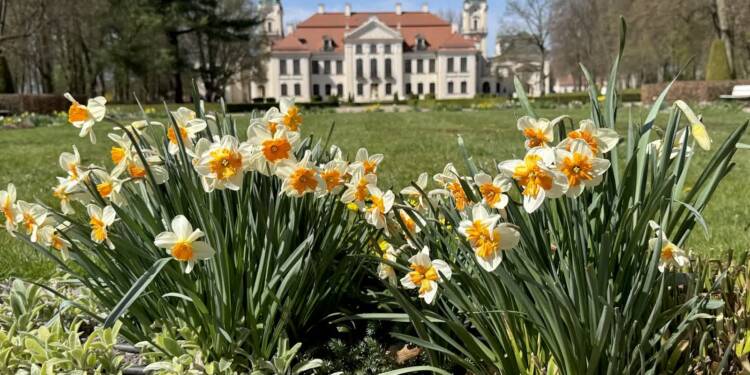 EAttachments9462296fc740cf15e6093602cf73564af71884f xl