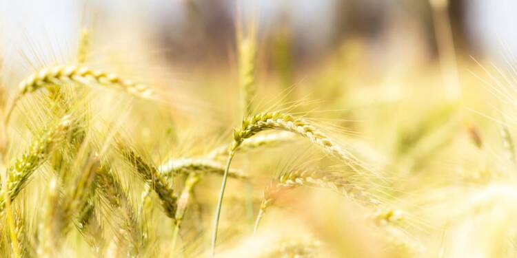 EAttachments9462308390248adc0533336ff06420047d83a7d xl