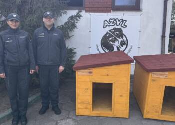 EAttachments9462797ac8058528915b9c87d059831798ab986 xl