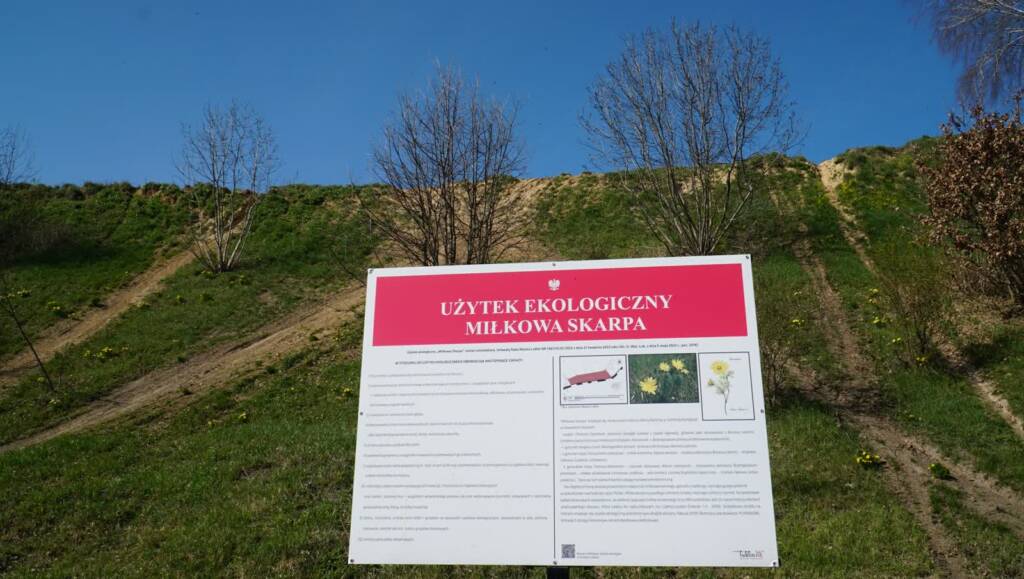 EAttachments946372992af93c43477a0a0db7bbe4b62a28b0c xl