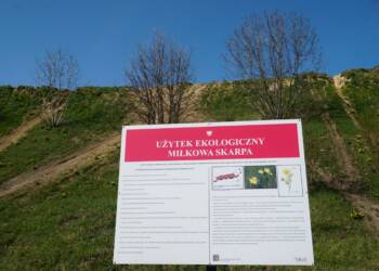 EAttachments946372992af93c43477a0a0db7bbe4b62a28b0c xl