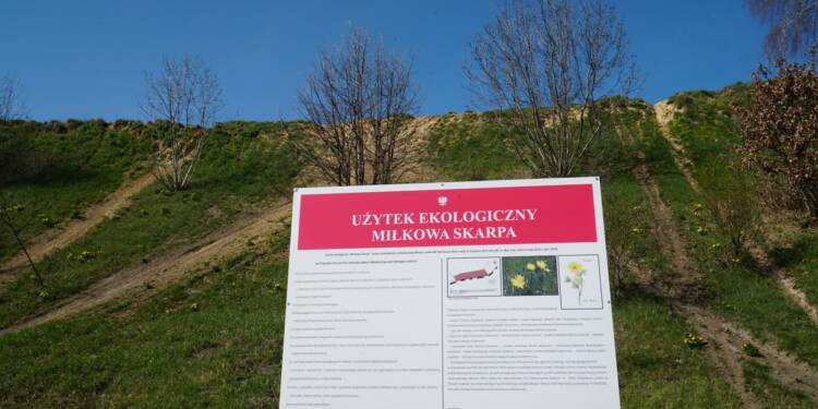 EAttachments946372992af93c43477a0a0db7bbe4b62a28b0c xl