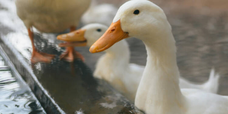 EAttachments9463853ee95dc021ef887160f0e809a2312b31e xl