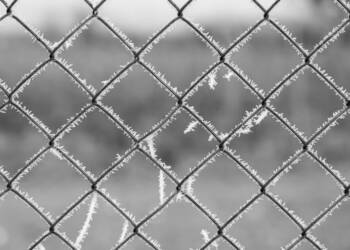 EAttachments946388760819d1b2eff9ea6884f26edbdad803f xl 1024x683 1