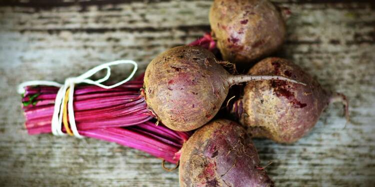 EAttachments9464580e2ac7048304dcf40dc816d1f3fa067ec xl